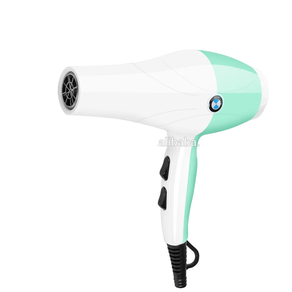 Powerful Hair Drier Low Fallout Brushless Dc Motor 1800-2200w Salon Professional Hair Dryer