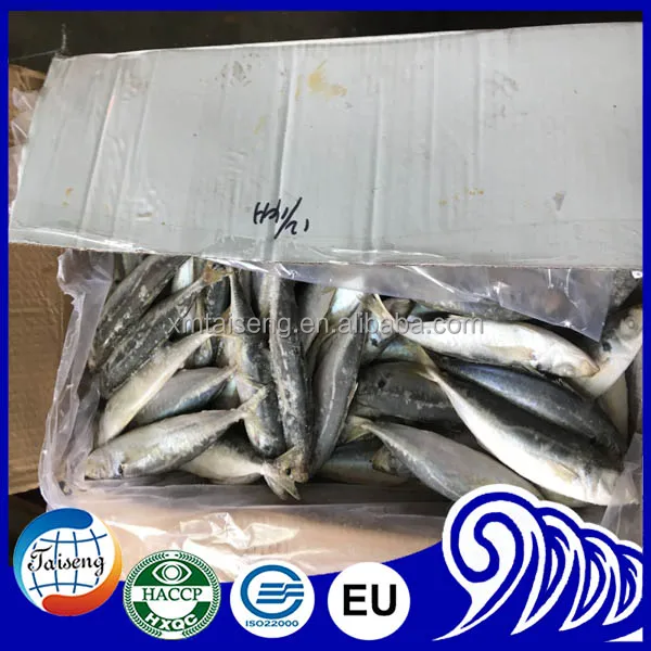 Замороженная круглая рыба IQF для ловли тунца