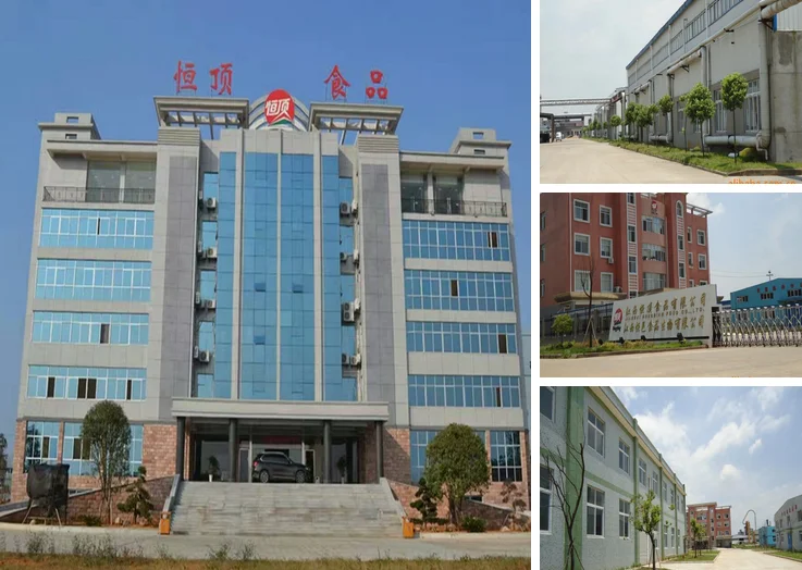 
GMO Free and Organic Bulk Rice Protein for Health Food 