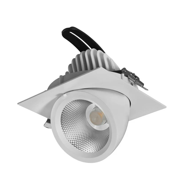 
Rectangular LED Downlight Gimbal Double heads COB down lamp 2*30W with high quality 