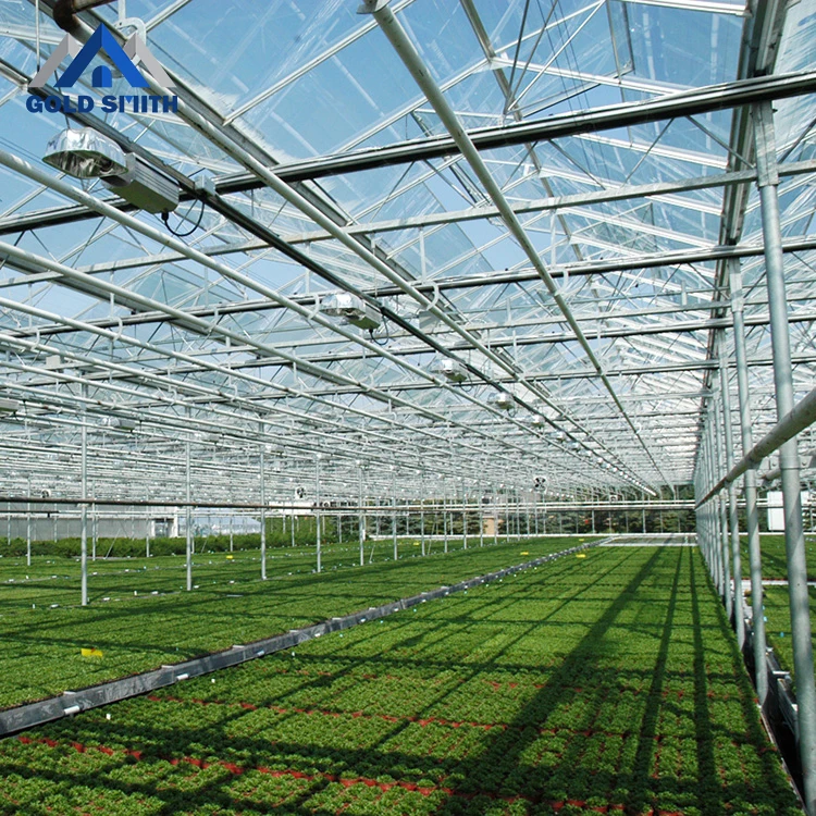Chinese Farm used Venol Type Glass Greenhouse with Hydroponic System