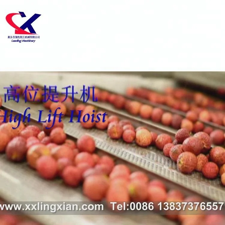 Offer Lychee fruit wine lychee juice 2000kg/h litchi processing plant