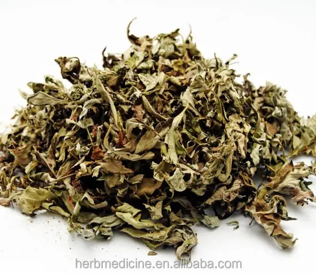 
Dried mugwort leaves uses Fights Joint Pain, Depression & Cancer 