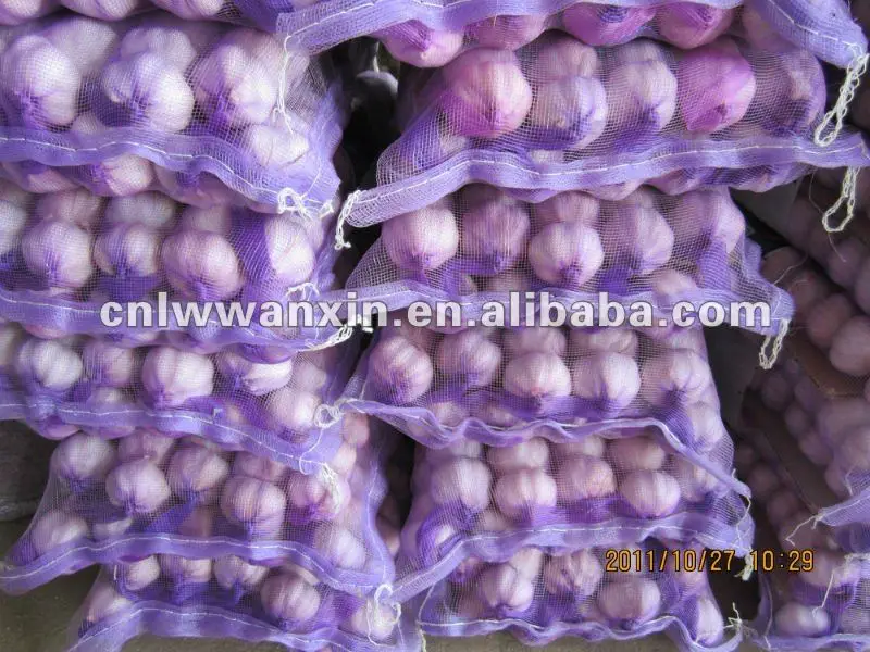 
buy fresh Chinese garlic 