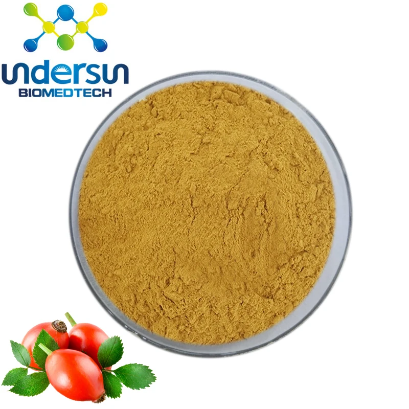 Undersun Factory Supply Top Quality Bulk Rose Hip Extract