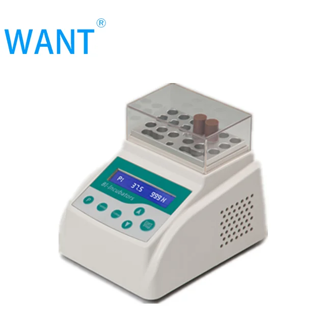 B80 Lab Temperature Contral Biological Indicator Incubator