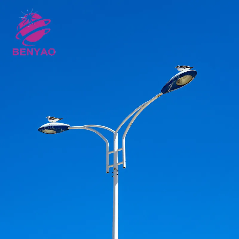 High quality photocell street lamp/road lamp