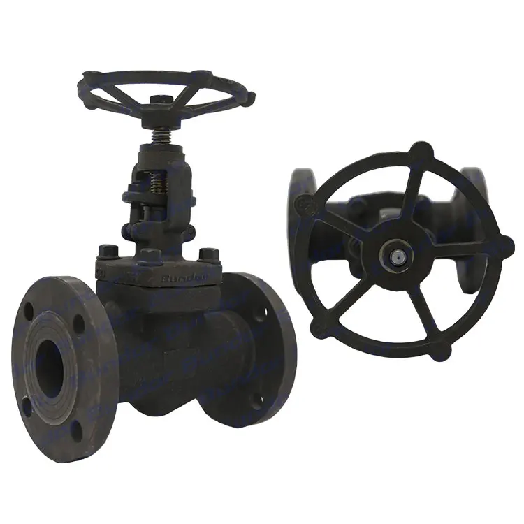Bundor A105 Forged steel PN25 flanged globe valve