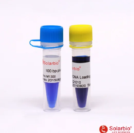 ДНК лестница для электрофореза 100bp plus