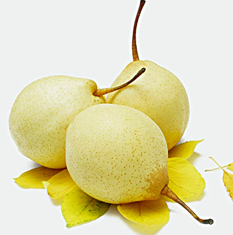 Супер сладкие свежие фрукты Ya Pears