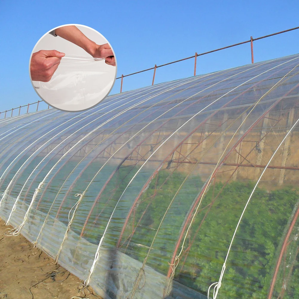Big size transparency film perfect toughness vegetables plastic film for greenhouse