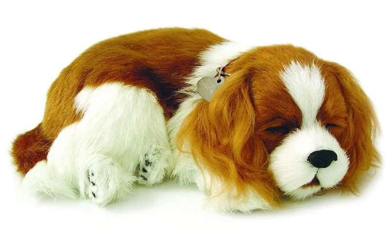 30cm white and brown stuffed Cavalier King Charles dog china plush toys