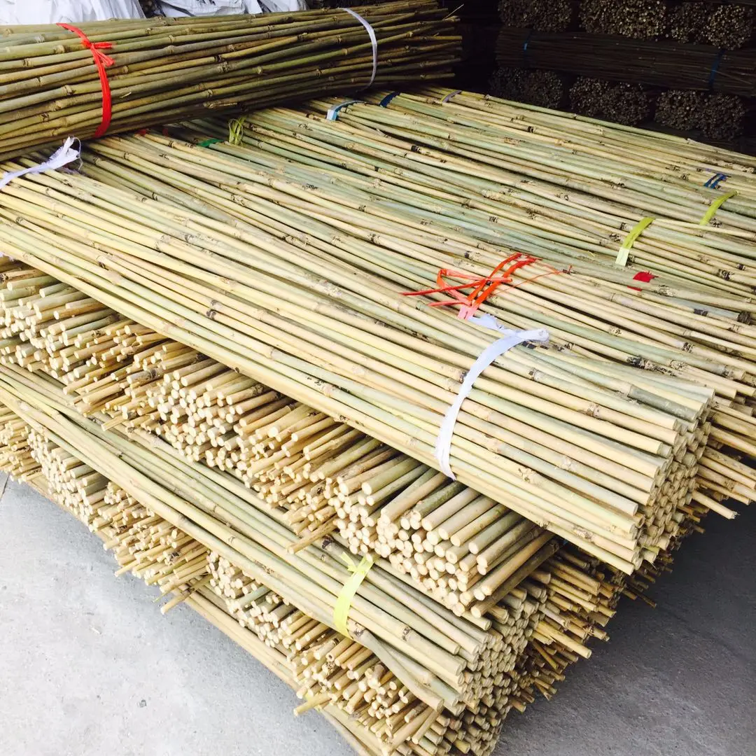 big stock bamboo pole for garden farm use