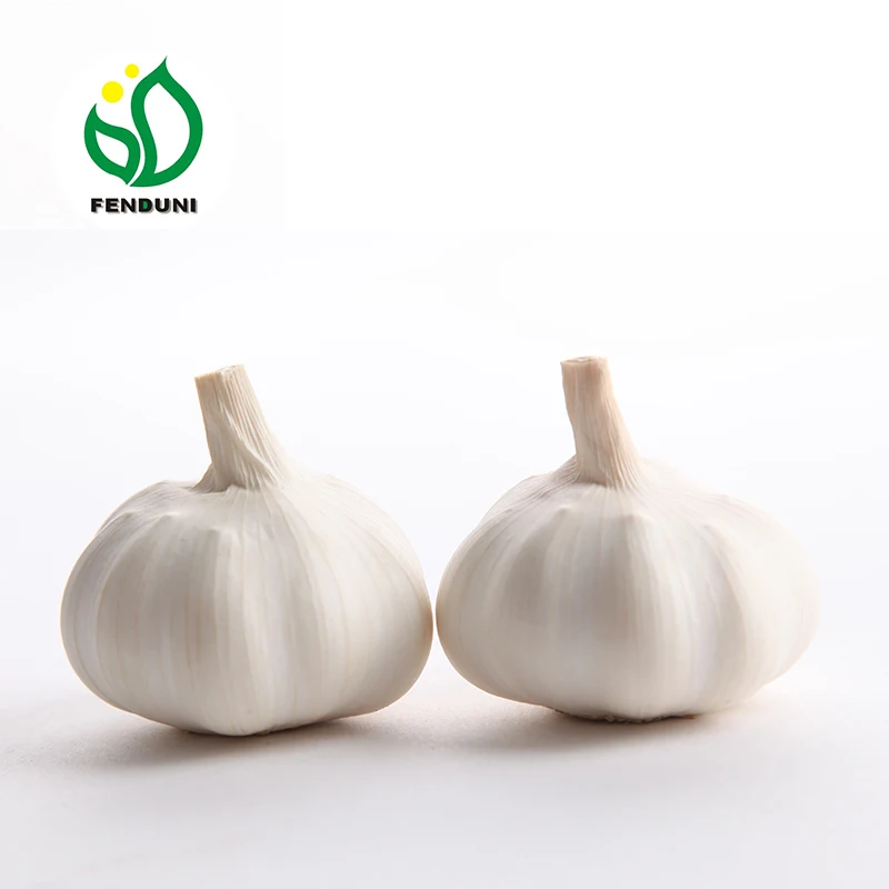 
2021 Normal White Fresh Garlic from Jining Fenduni Foodstuff Co., Ltd 