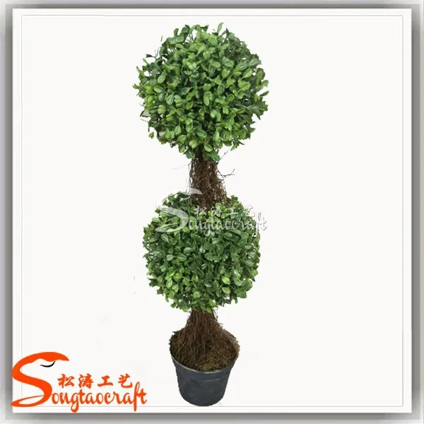 large outdoor bonsai trees a large number of bonsai plant sale home decoration bonsai