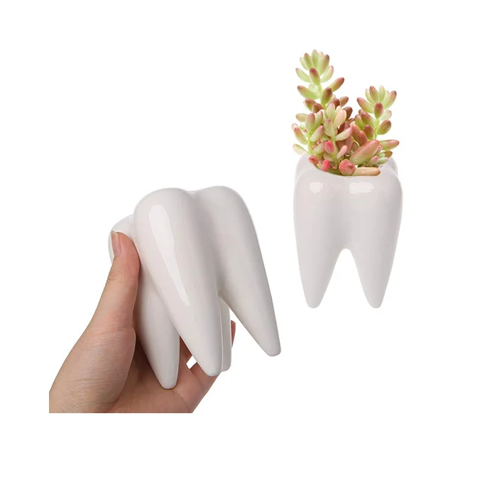 Ceramic Succulent Plant Pots with Tooth Shape