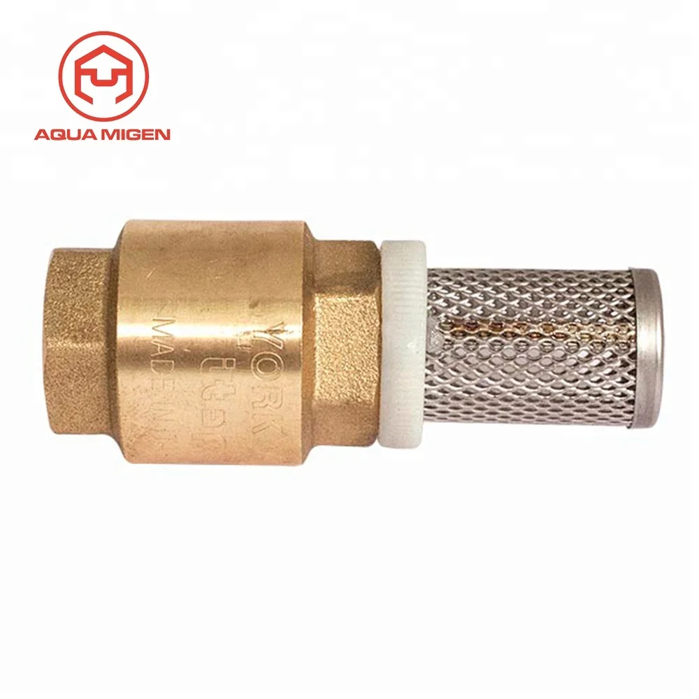 Non-Return Foot-Valve Brass Strainer With Spring of Stainless Steel
