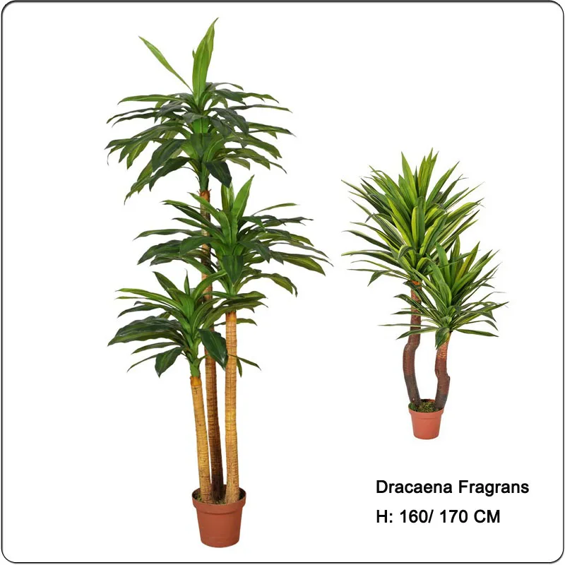 Hot sale Fake Corn plant Draceaena Fragrans artificial Dracaena angustifo plastic tree for home and office decoration