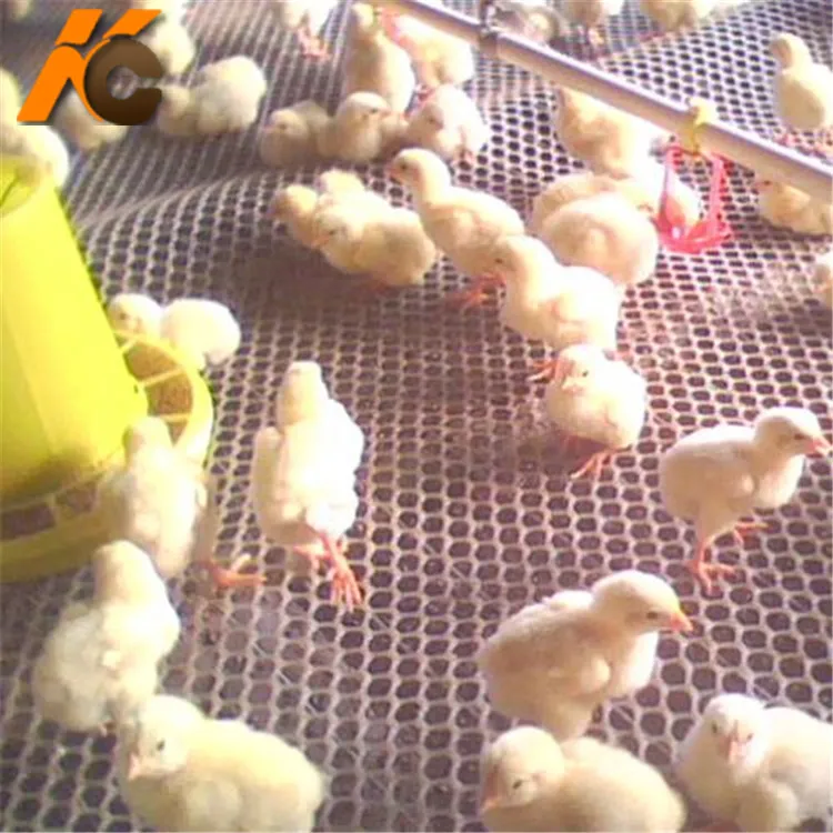 Factory!!!! KangChen soft poultry plastic chicken flat nets flooring factory price