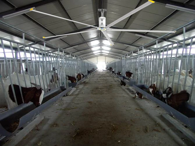 QX Big Ass Fan HVLS Industrial Giant Ceiling Fan With Factory Price