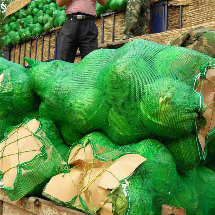 Sinbom China Supplier Global Sale Rashel Fruit Garlic PE Wire Mash Net Bag