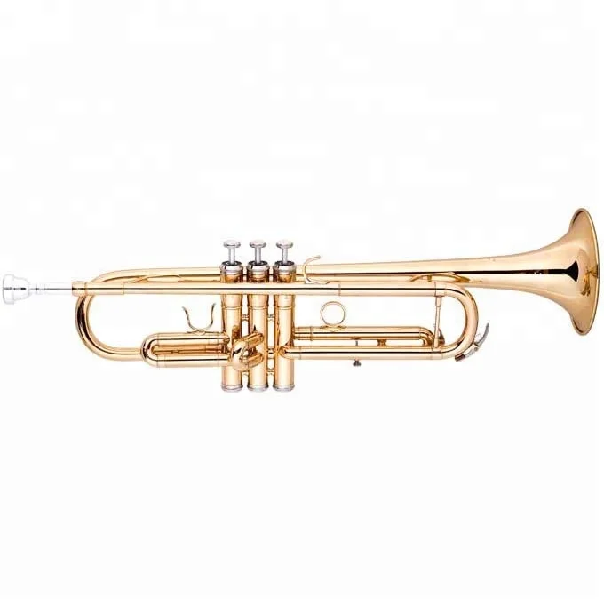 Popular Trumpet/ Cheap Trumpet