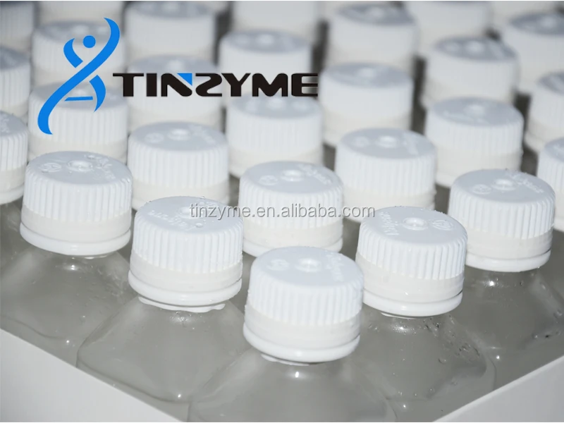 dNTP 25mM solution High purity Free Sample avaible