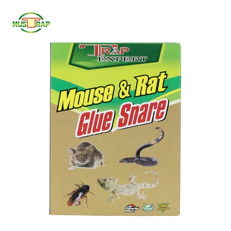 Hot Sale Easy Set Strong Viscous Paper Board Rat Rraps Cheap Mouse trap