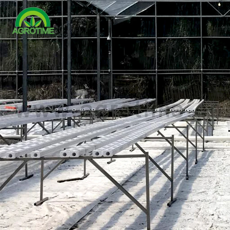 hydroponic systems for grow lettuce