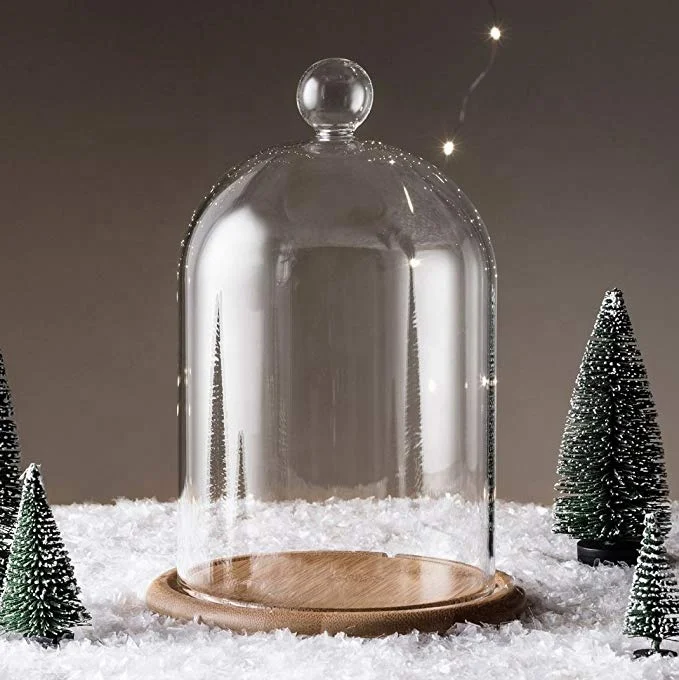 
Custom Glass Cloche Bell Jar Display Dome with Bamboo Base 