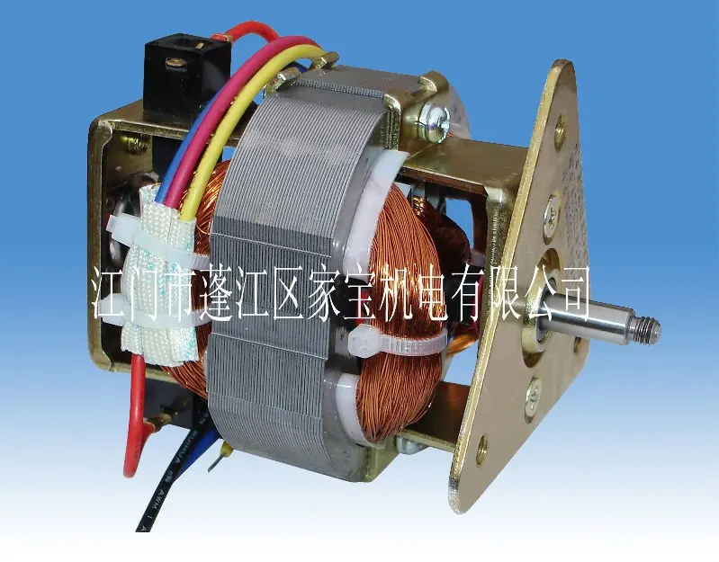 SMALL ELECTRIC MOTOR 7020 250W MOTOR FOR JUICER BLENDER