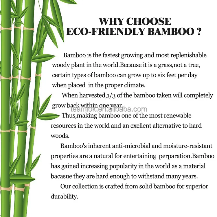 
Bamboo Memo Clip Holder 4x4x4cm Bamboo table sign holder 