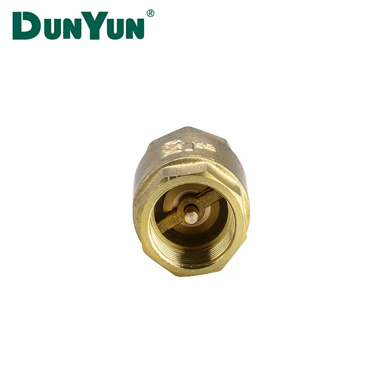 1/2 - 2 Inch Water Vertical Small Spring Flap Brass Check Valve