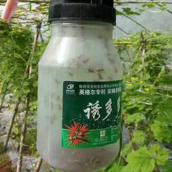 Outdoor fly trapper melon fly killer fruit fly catcher