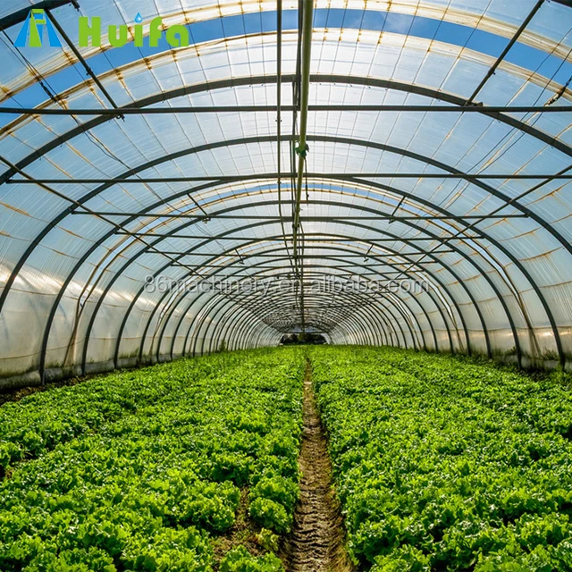 180 km /h wind resistant grow vegetables single tunnel greenhouse for sale