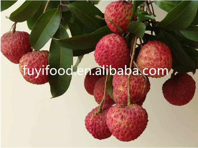 SEASONAL CHINESE FRESH LYCHEE/Sinolychee group Litchi/China lychee