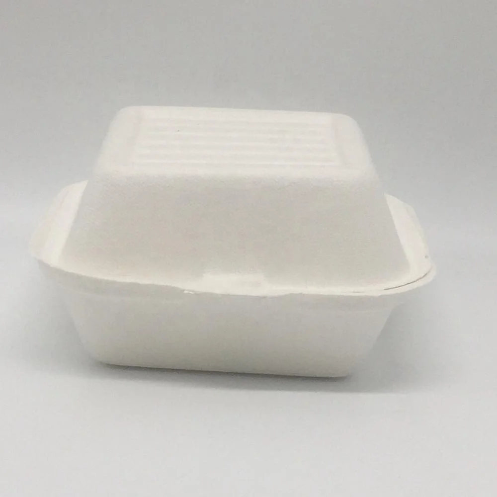 Wholesale disposable food packaging bagasse sandwich takeout box biodegradable container