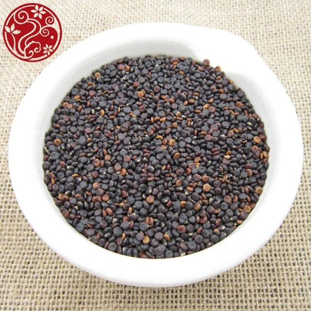 
Polygoni Orientalis Fructus Shui hong hua zi medicinal herbs chinese herbal 