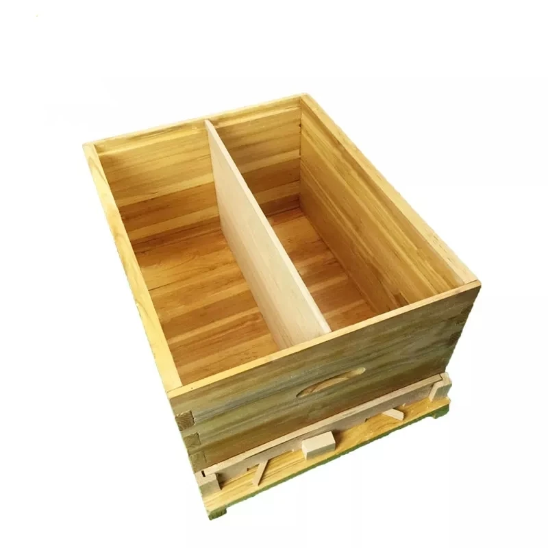 
Ten framed Cunninghamia Cunninghamia Cunninghamia beehives 