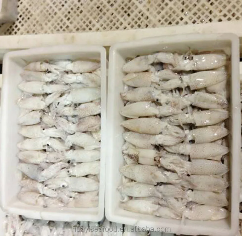 Замороженный детский кальмар liligo