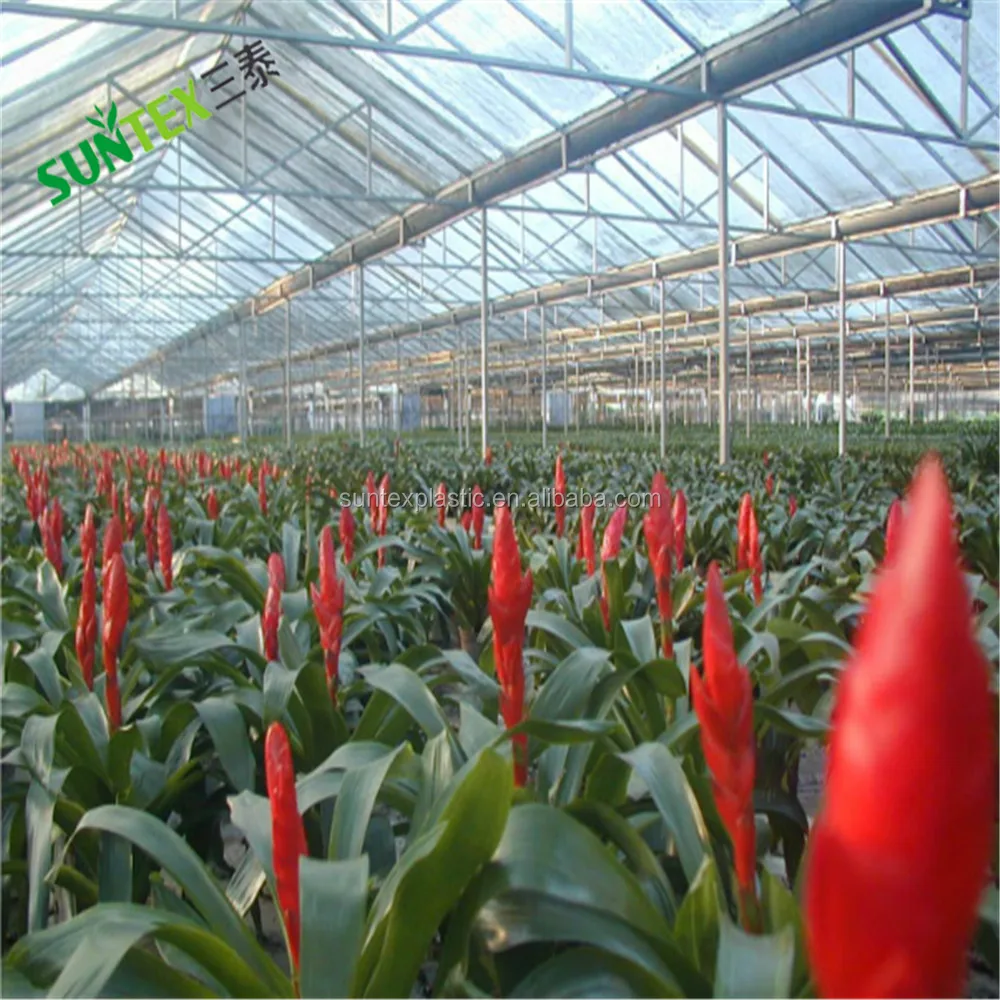 85% horticultural aluminum highly reflective hdpe shade cloth, sun protection outdoor greenhouse cover netting 3*50m