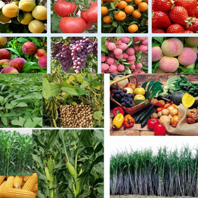 
High Quality Abscisic Acid 90% Tc Natrual Abscisic Acid S-ABA 