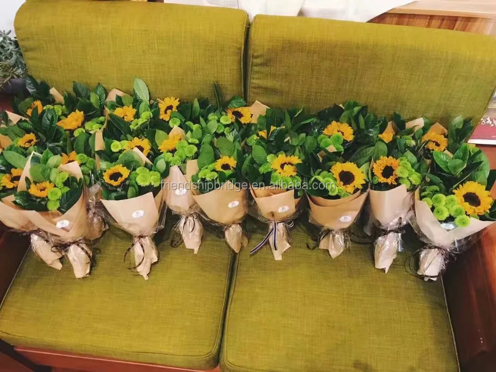 Beautiful fresh cut flower Helianthus annuus sunflower