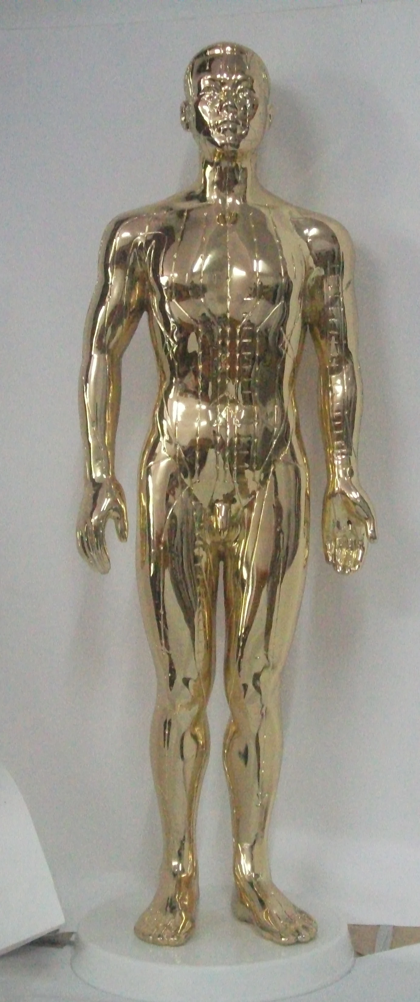 Chinese medical acupuncture human body model for acupuncture