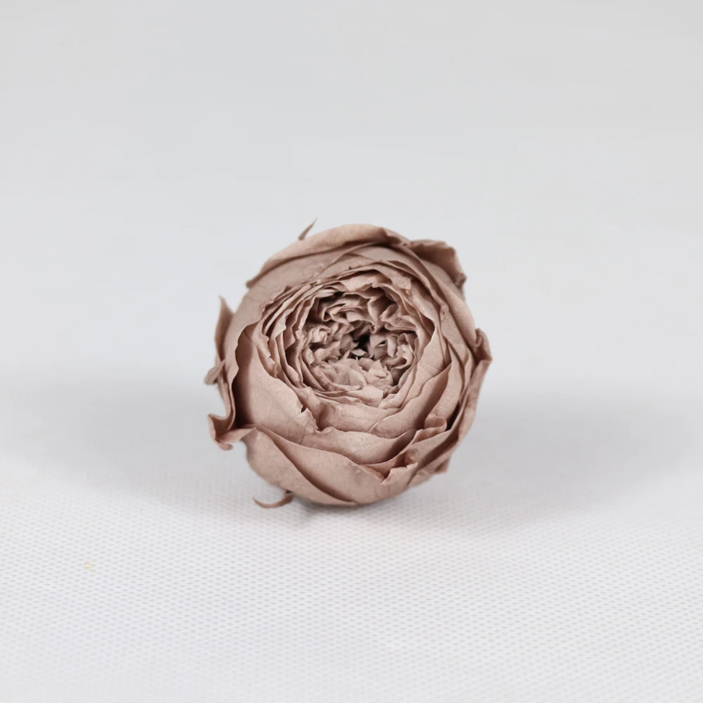 Долговечные натуральные консервированные розы для свадебного декора