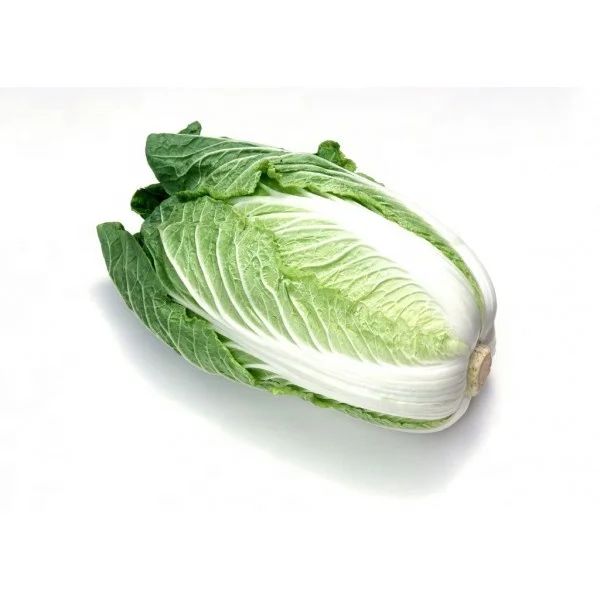 Quality vegetable seeds for sale best price chinese cabbage seed