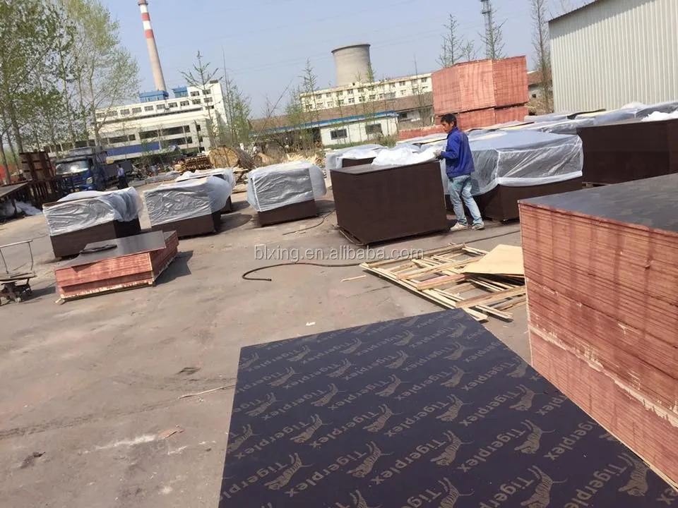 
F17 Grade Plywood / F17 Formply Structural Plywood 