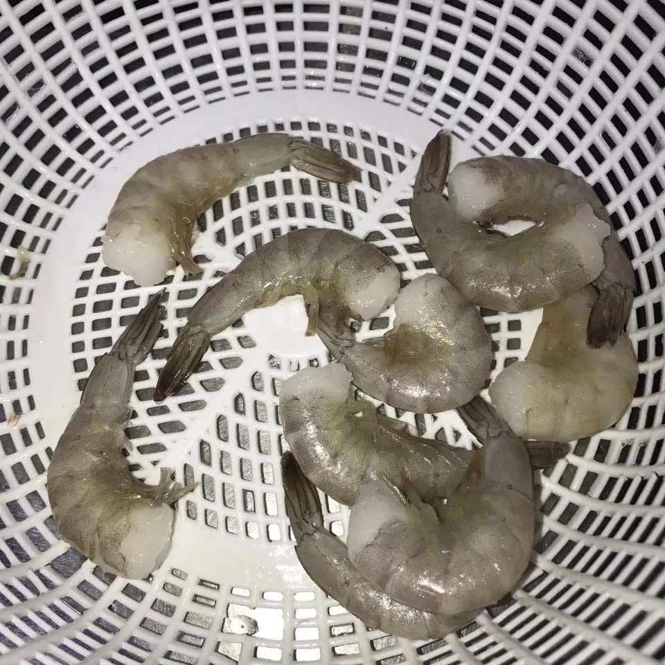 Frozen PD White Shrimp Vannamei Prawn Price
