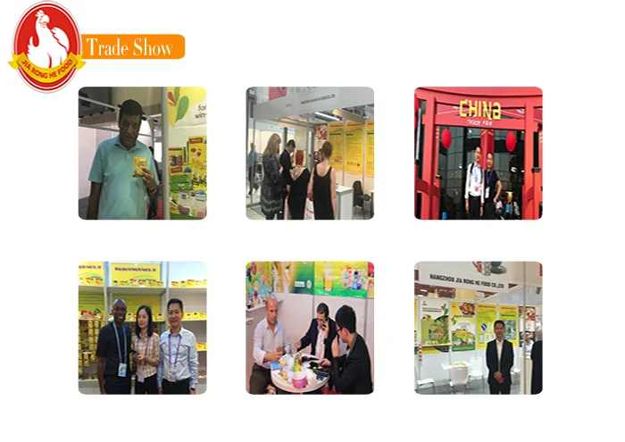 4g халяльный Овощной куб/кубик для приправ/кубик для супа/бульон/приправа