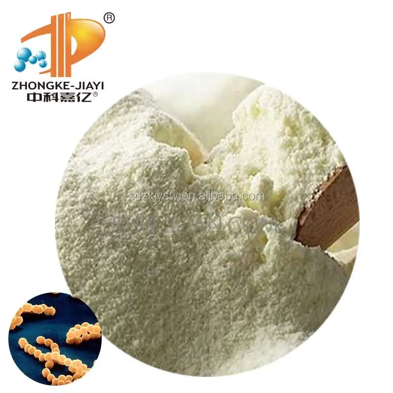 Пищевой лактобакиллус ацидофилус Oem поставщик дополнение